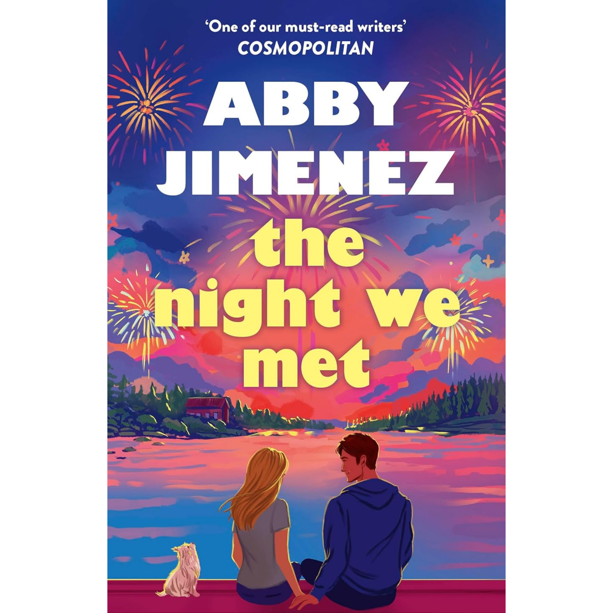 The Night We Met
